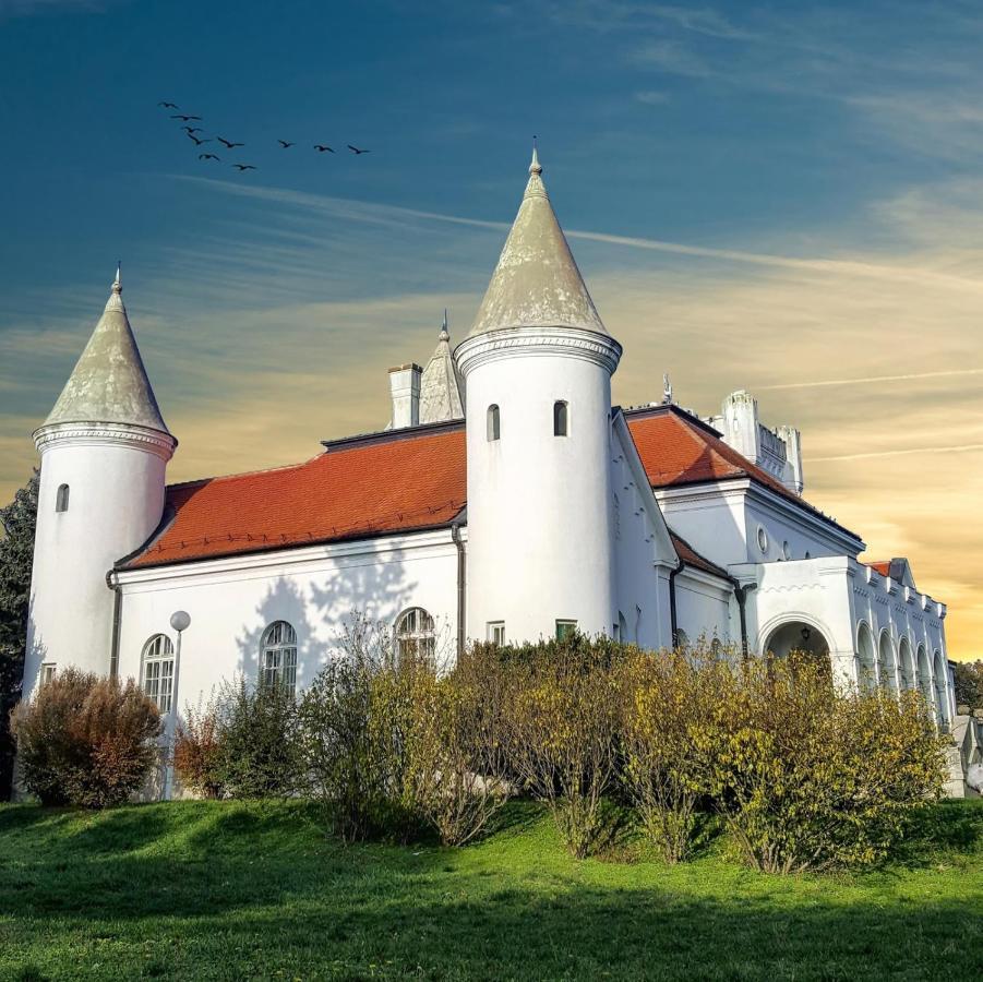 Apartman Ana Becej Экстерьер фото